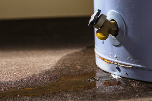 Best Carpet water damage restoration  in Richnd Heights, MO