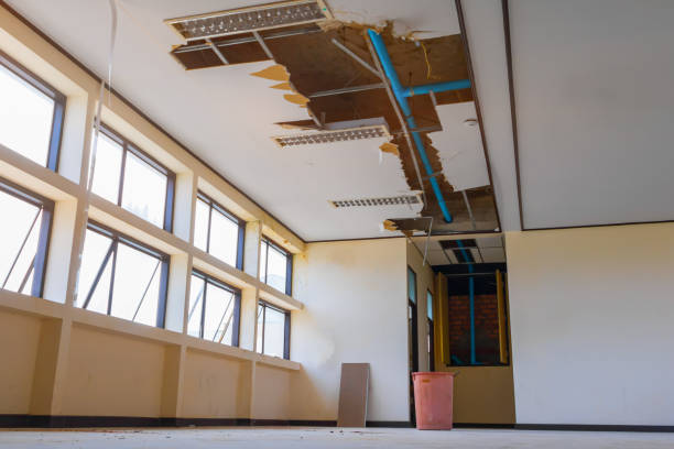 Best Water damage restoration near me  in Richnd Heights, MO