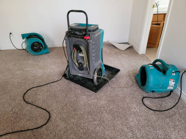 Best Water damage contractors near me  in Richnd Heights, MO
