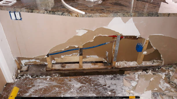 Best Local water damage restoration  in Richnd Heights, MO