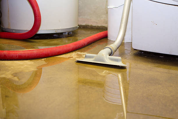 Reliable MO Water damage restoration Solutions