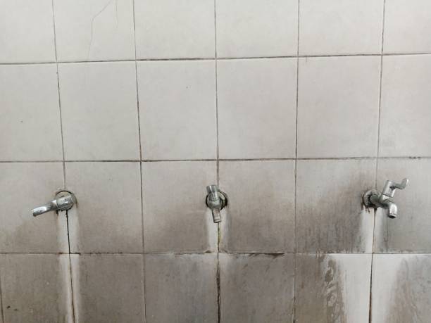 Best Flooded house restoration  in Richnd Heights, MO