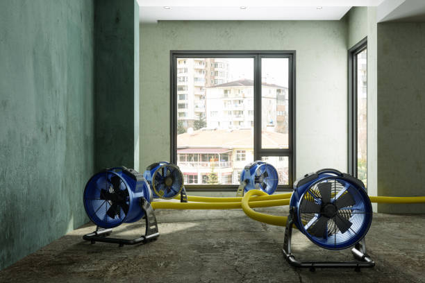 Best Local water damage restoration  in Richnd Heights, MO