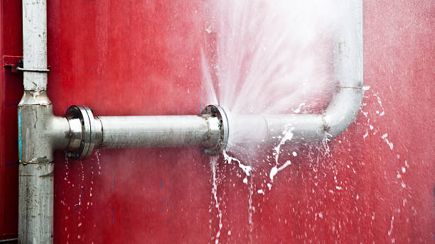 Best Professional water damage repair  in Richnd Heights, MO